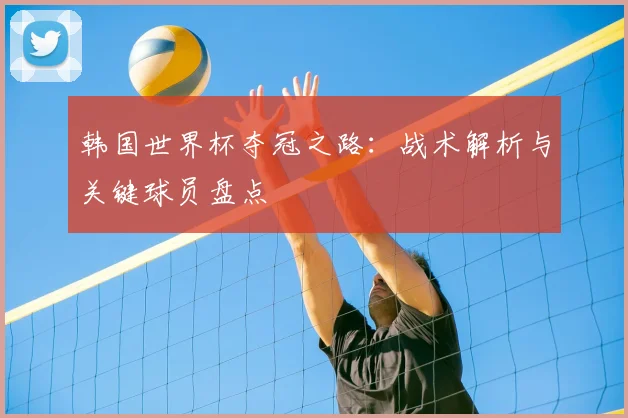 韩国世界杯夺冠之路：战术解析与关键球员盘点